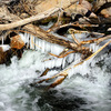 Chandelier icicles in the Owens River.