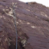 Leading crux pitch of a route put up by good friend in honor of brother.