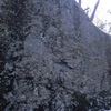 A closeup of the cliff.