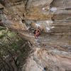 Way of All Flesh, 26/5.12c, Bardens Lookout, Blue Mountains