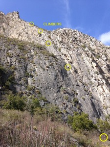 View top of Voodoo Trance can access P10+ on Yankee Clipper