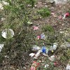 Typical scene in the picnic area at base of La Selva.  We cleaned this area up 5 or 6 times over a two week period.  The trash mysteriously reappears after every weekend. Finally we gave up.