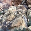 View of my partner rappelling down to the notch from the rap sling station. Look down while you rappel and make sure your rope doesn't get locked into any cracks.