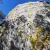 Valley side of white boulder at end of Turtle Rock