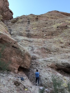 trying to figure it out