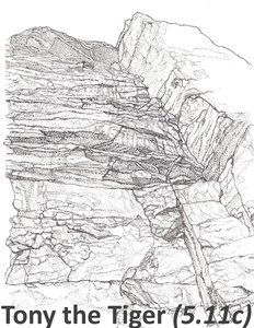 Tony the Tiger @drawingsfordirtbags