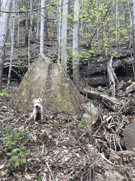 Go uphill at the triangular rock.