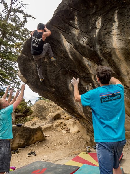 Topping out on Frosted Flakes