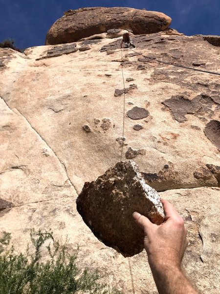 "De-scaling" of the serpent scales.  Be careful of loose features! This came off from the bottom of the dark area that the rope shadow passes through.