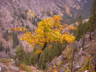 Fall in Tumwater Canyon