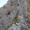 Pitch two of Belle Fourche Buttress, as viewed from the hike over to it. See the left-most crack in the picture.