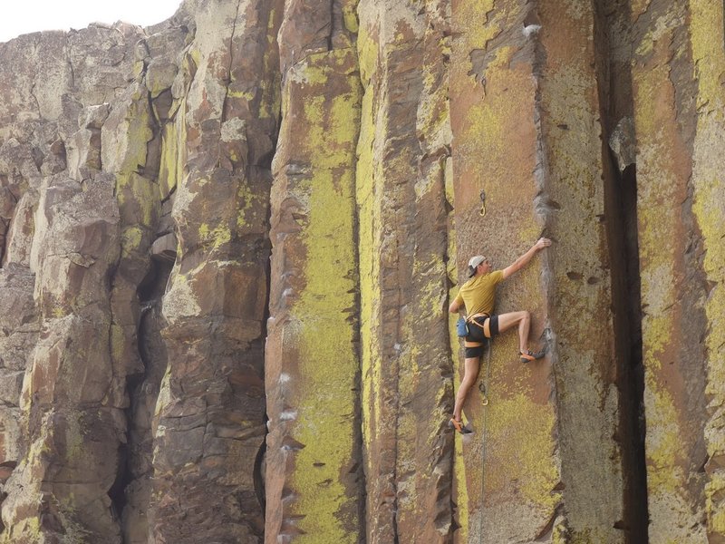 Refrigerator-Hugging