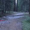 This is the stone step to go off trail from