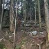 A View from the parking lots between bathroom and the Bog wall. The red area points to a trail leading to Sugarloaf.