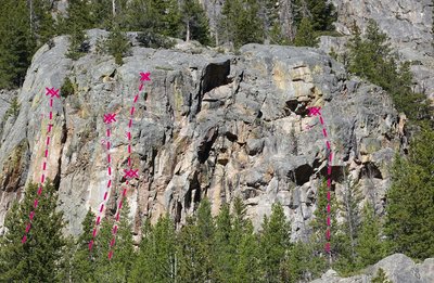 South Wall.<br>
<br>
1) Mellow Yellow.<br>
2) Silver Salute.<br>
3) Mirror Mirror.<br>
4) Anunnaki.