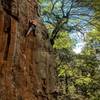 Top roping my first 5.11, Horseshoes and Hand Grenades. Horseshoe canyon ranch