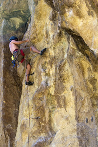 Steve on Llama Enlightenment