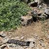 A Welcome mat at the base of the approach trail to The Shredding.
<br>
Let the Poison Oak dodging begin.