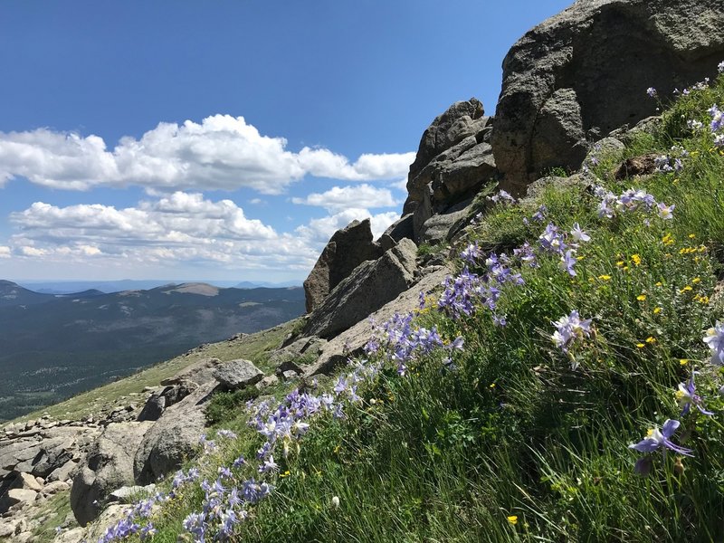 LL Slabs is a beautiful place to climb.