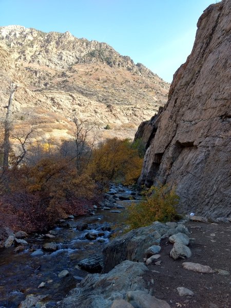 Creek in late October 2018