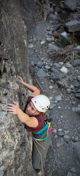 Rebecca Davidson on Diesel, 10c