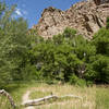 Trail leading to Fowl Play