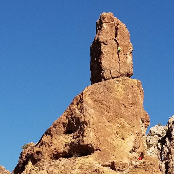 Greevers Needle