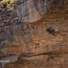 Brad Wright climbing Super Dooper Goo (29/8a) at Diamond Falls, Blue Mountains - Australia