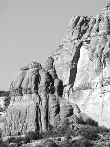 Topo for Bear Necessities and Embearassed.