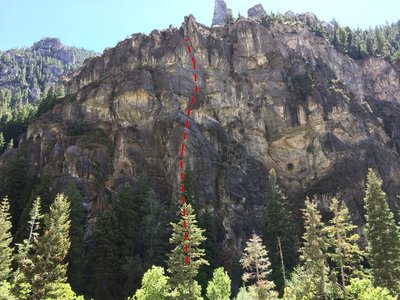 The line shows more or less (but not exactly) where Suspect goes. Once you're on route you cant get lost.