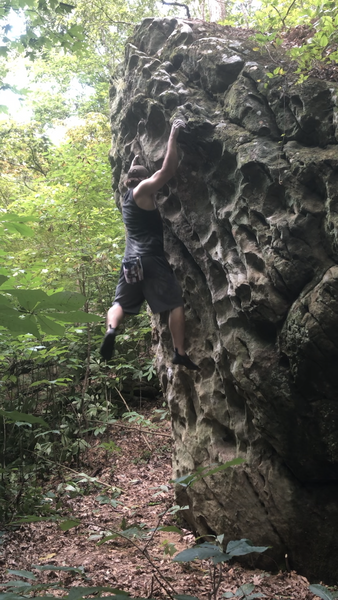 Anyone know this boulder? Went out of season and it was seriously overgrown and couldn't find the kiosk or anything to reference on the map to find anything. Had no clue where we were, just found some boulders and started climbing