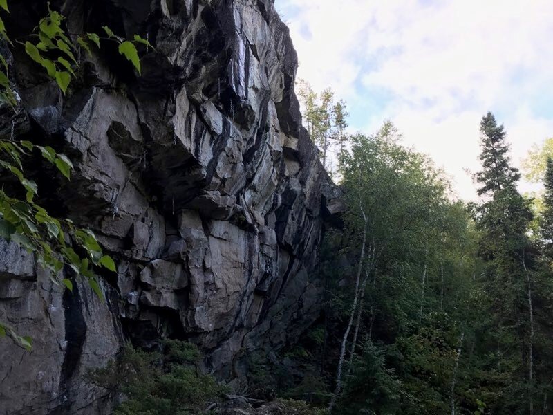 Canadian Rainforest, High-Quality Granite