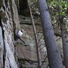 This is a top section of the route. These regions of a flat rock have small crimps and cracks and can be climbed by traversing to the corner away from the bolt line.