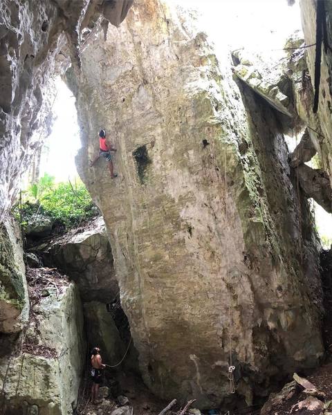 Diego Garcia climbing on La Tocineta Picante. Photo by Mariely Bonilla.