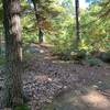 This is NOT the Left you want to take off the Stone Tower Trail, the correct left is like 15-20 feet further up the trail and faint.