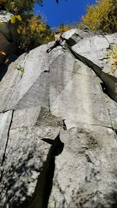 Dan scoping the top-out on the FA.