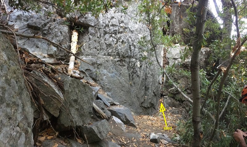 the starting area of the regular route on lower cathedral spire. be sure to keep a keen eye out. can be hard to find. start going up the wide dirty cracks to the first belay station on top of the first two boulders that are on the other side of this tree