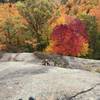 Looking at the first belay from the second. Route goes climber's right from there and then traverses to the ledge.