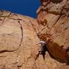 Starting up Cactus Cliff Addict.