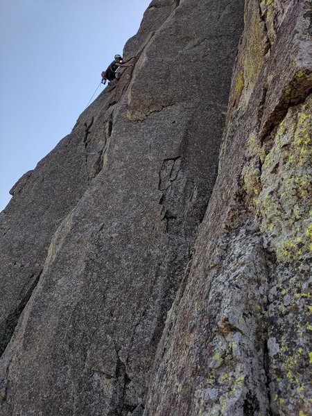 Tony getting psyched on some sweet rock at Devil's Tower.  photo by Alex Fox