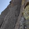 Tony getting psyched on some sweet rock at Devil's Tower.  photo by Alex Fox