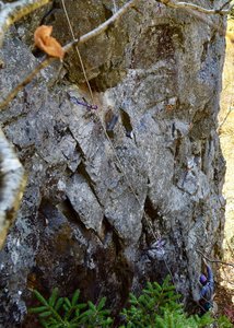 Rope Hanging on Dr.Pill