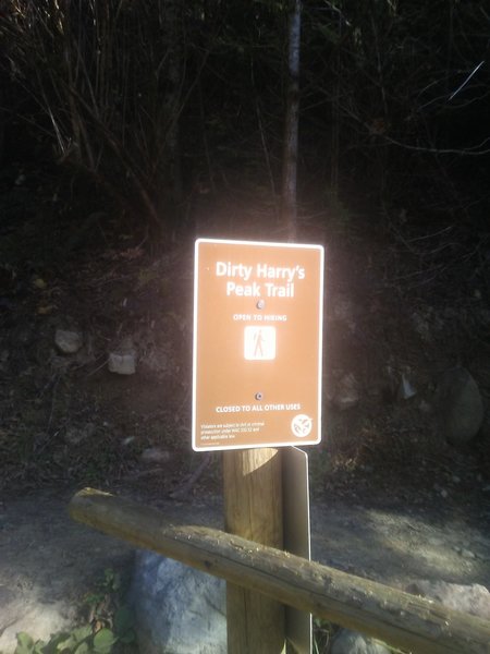 Follow the trail