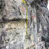 Looking at the upper section of the third pitch. The red circle shows the hanging anchors (the first ones you come to after rappelling off the top.