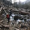 Heading into the second debris pile on the Elk Creek trail.