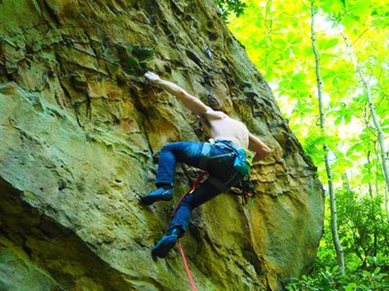 Will'd power 5.10c/d