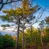 Array of colors in the Fall at Peterskill.