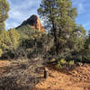 This is the trailhead from the road (step over the dead tree), looking at the Fin.