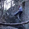 As of 12/27/2019, there is a fallen tree at the base of this problem. The tree does not interfere with the climb or the landing as it is a few feet back from the boulder.