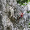 Closeup of the action at the crux of Tren Urbano